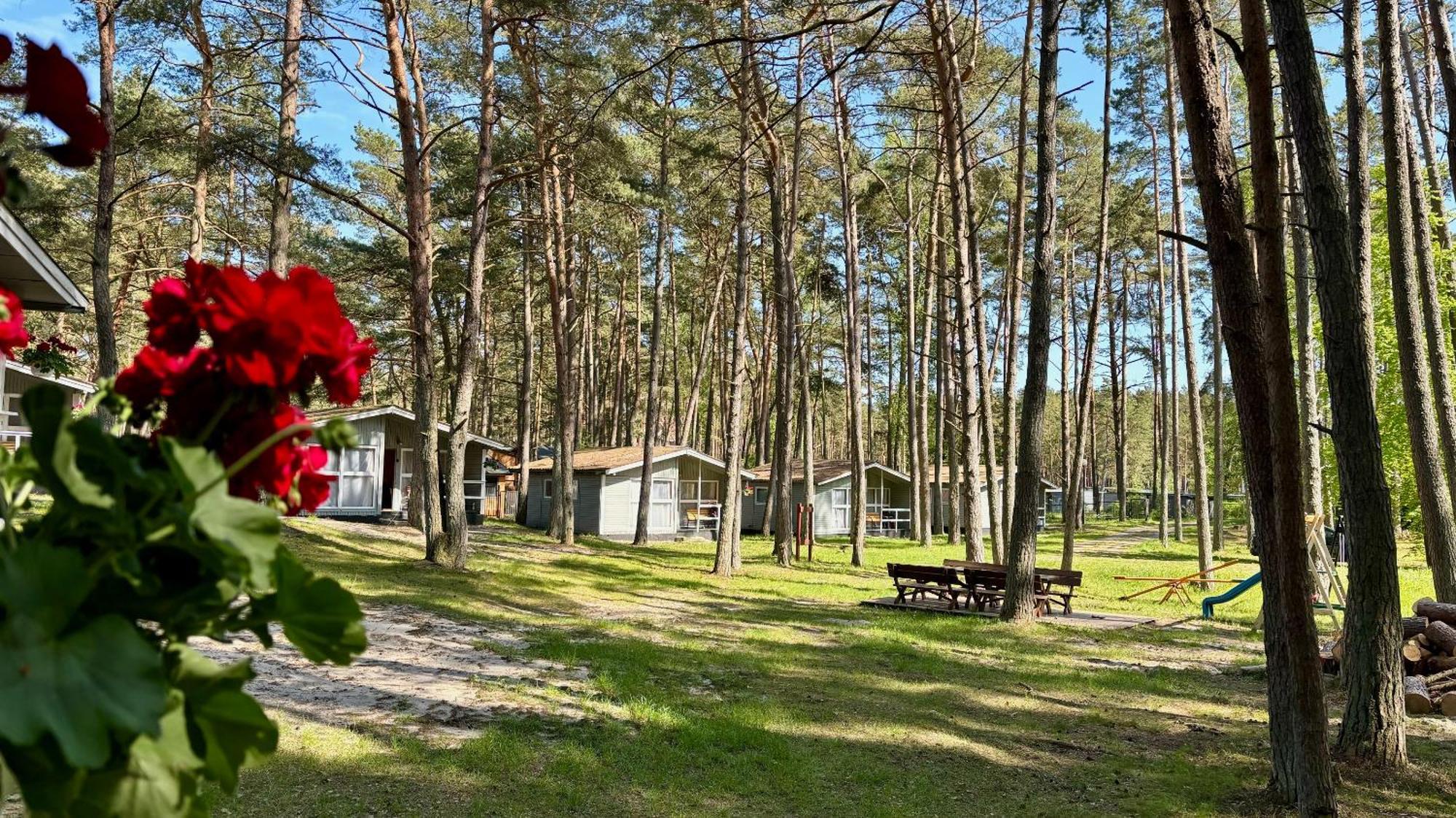 Lesna Przystan Villa Pobierowo Dış mekan fotoğraf